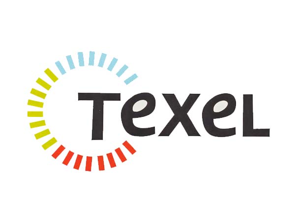 Texel